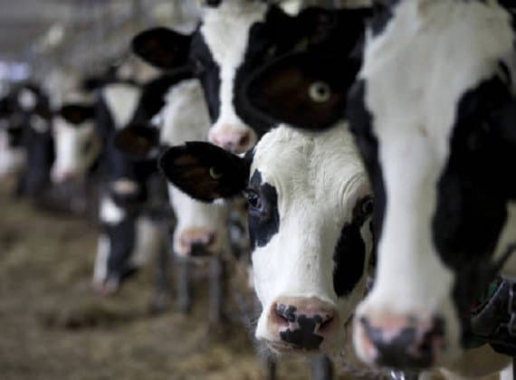 Eco Impianti - Immagine 2