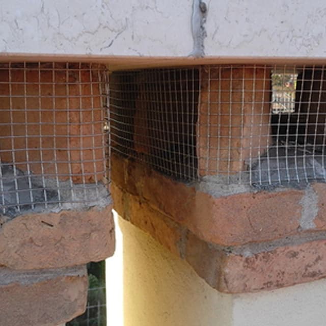 Eco Lo Spazzacamino - Immagine 2