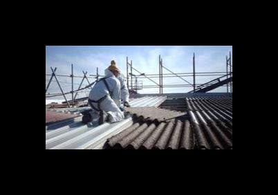 Ecozani - Immagine 1