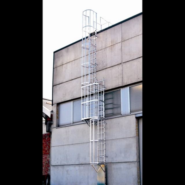 Emiliana Scale - Immagine 2