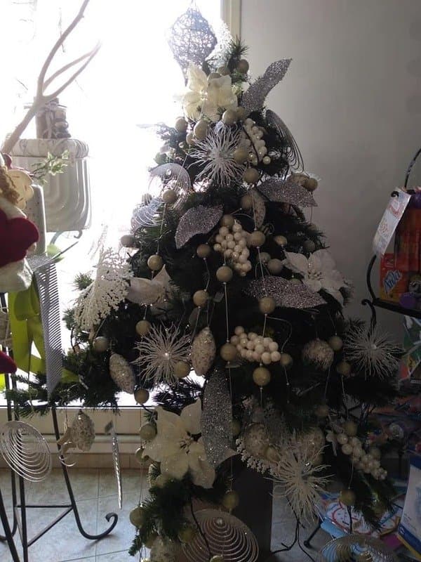 Enrica Fiori - Immagine 2