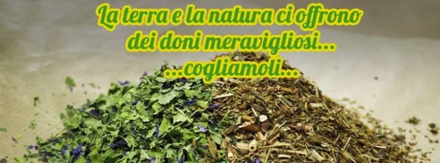 Erbamica - Immagine 2