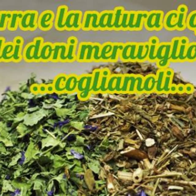 Erbamica - Immagine 1