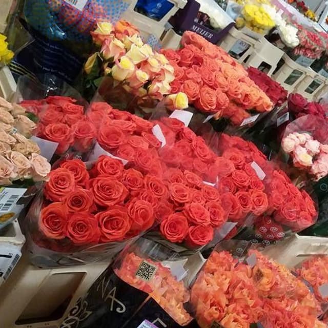 Euroflora - Immagine 1