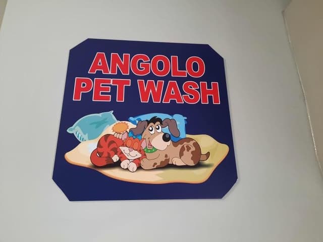 Express Wash - Immagine 2