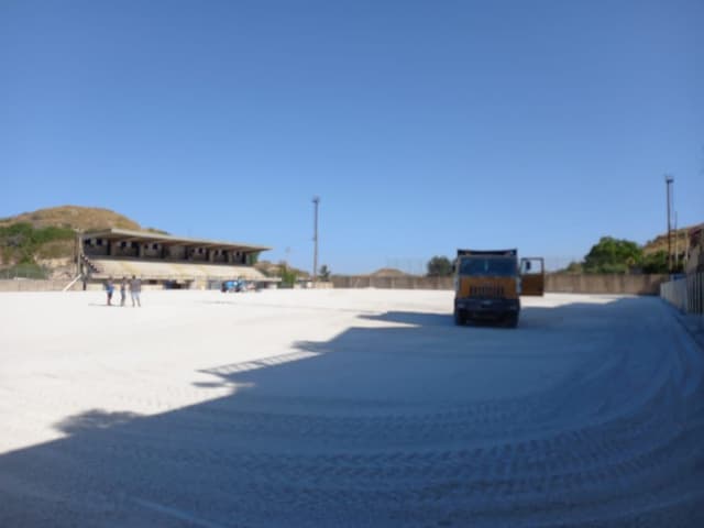 Falcone - Immagine 1