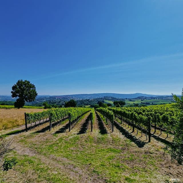 Famiglia Pagano 1968 - Immagine 1