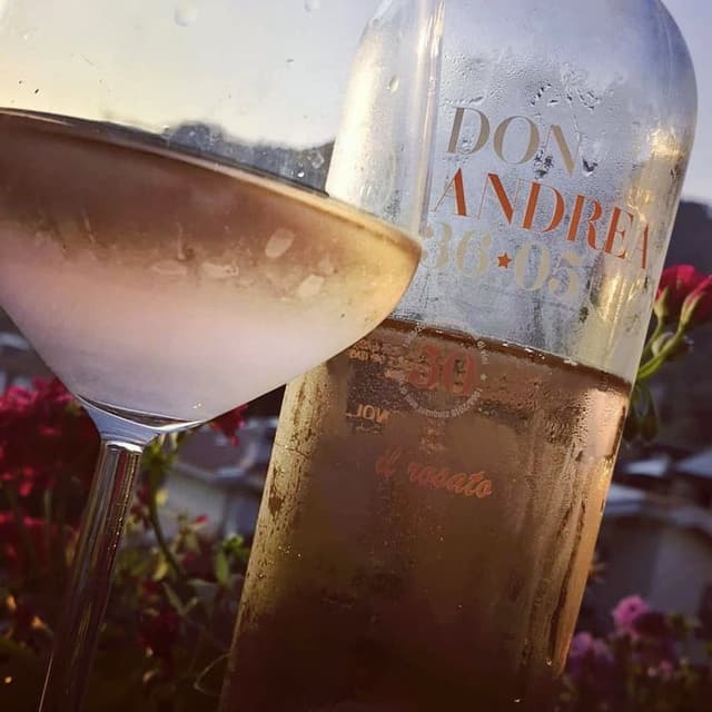 Famiglia Pagano 1968 - Immagine 2