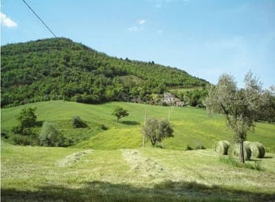 Fattoria Fontetto - Immagine 1