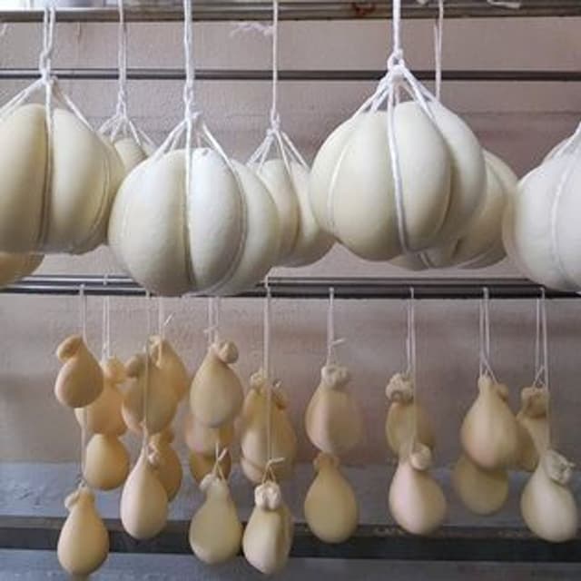 Fattoria Potentina - Immagine 1