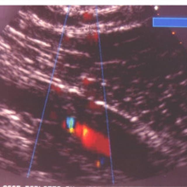 Ferrara Prof. Filippo - Immagine 1