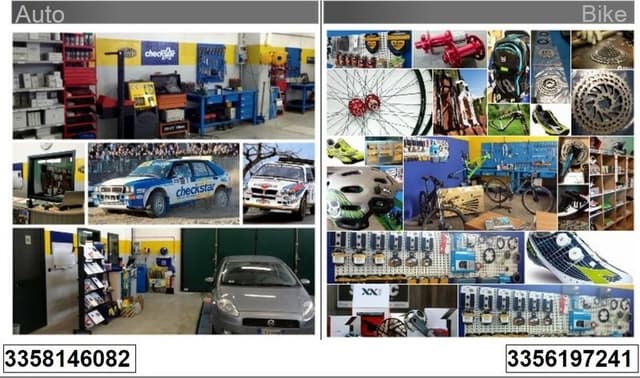 Fg Bike - Immagine 1