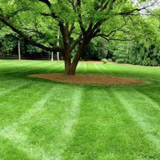 F.G. Manutenzione Giardini - Immagine 1