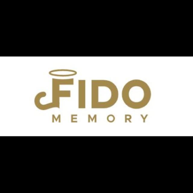Fidomemory - Immagine 2