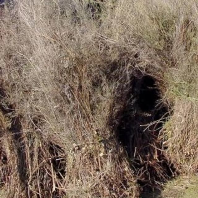 Fin Production - Immagine 1