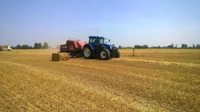 Finato Srl - Immagine 1