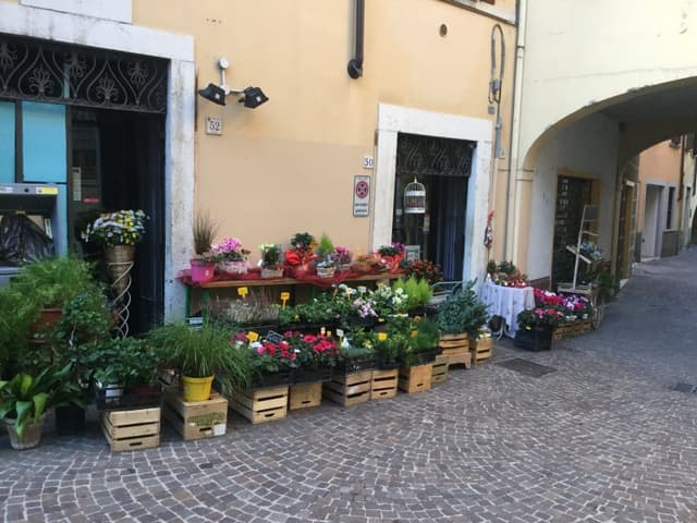 Fioreria Cristina - Immagine 2