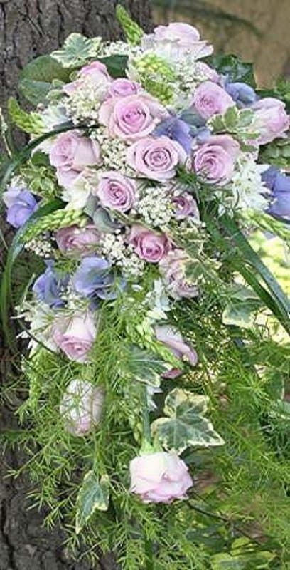 Fioreria Petali di Rosa - Immagine 1