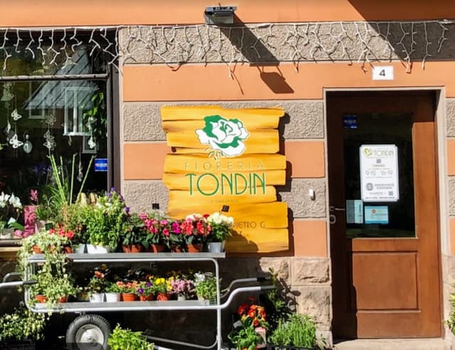 Fioreria Tondin di Tondin Alex & C. S.a.s - Immagine 1