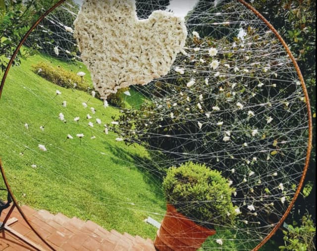 Fioreria Tondin di Tondin Alex & C. S.a.s - Immagine 2