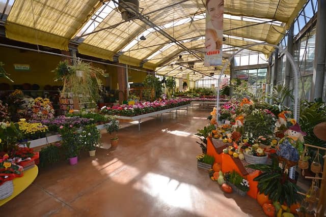 Fioreria Vivaio Duri' - Immagine 2