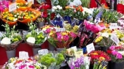 Fiorerie Andrini - Immagine 1