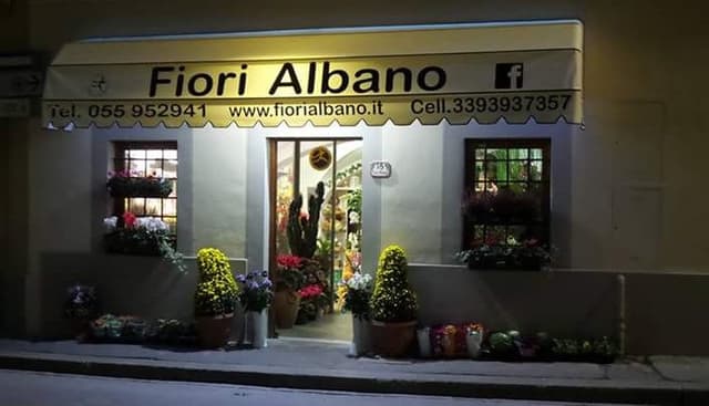 Fiori Albano - Immagine 2