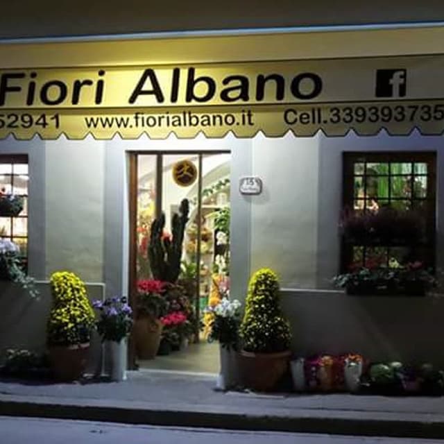 Fiori Albano - Immagine 1