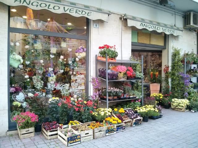 Fiori Angolo Verde - Immagine 1