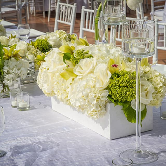 Fiori e Piante Anna e Monica - Immagine 2