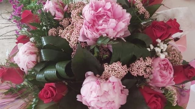 Fiori e Piante L'Eden - Immagine 1