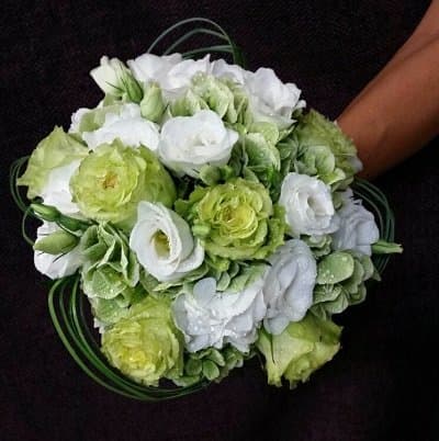 Fioridea - Immagine 2