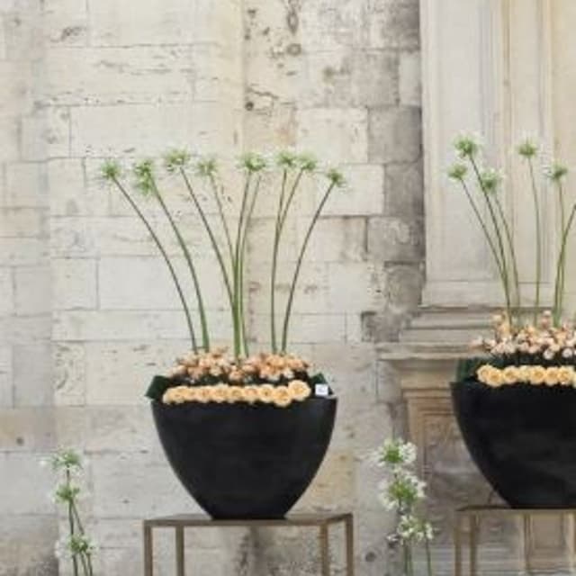 Florangel - Immagine 1