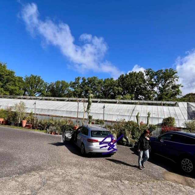 Floricoltura Ballandi - Immagine 2