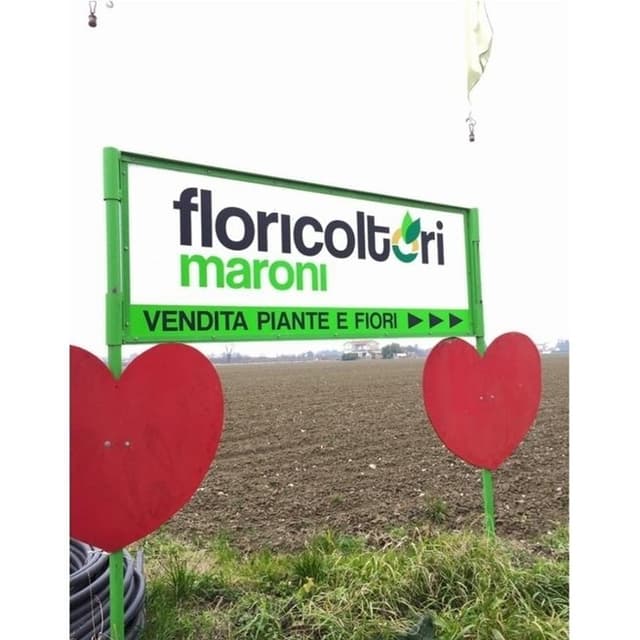 Floricoltura Maroni - Immagine 1
