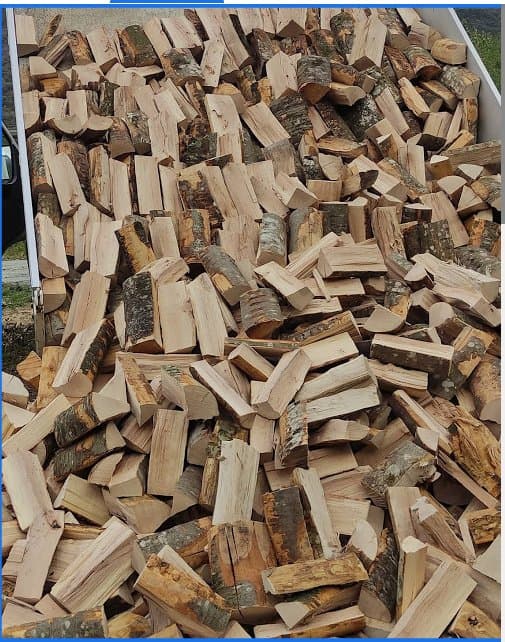 Forest Service - Immagine 2