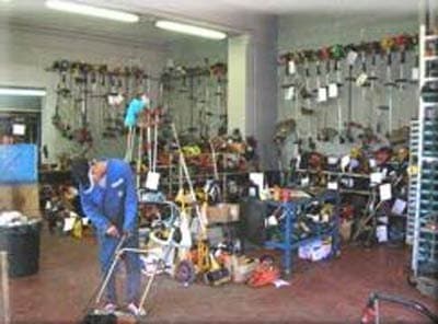 Forestal Garden - Immagine 1