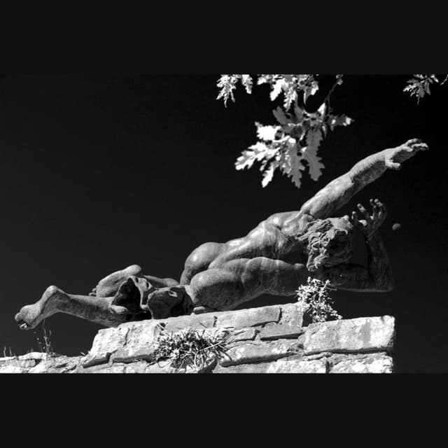 Foto Gammacolor - Immagine 1