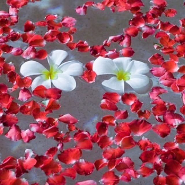 Franciacorta Fitness - Immagine 1