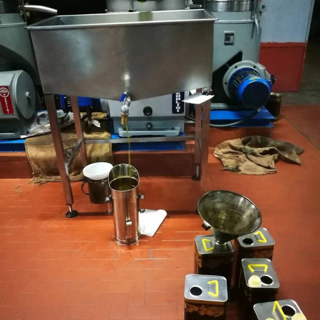 Frantoio Elia - Immagine 2