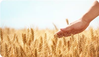 Futuragri - Immagine 2