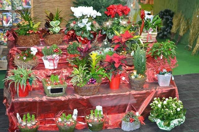 Garden dei Parchi - Immagine 1