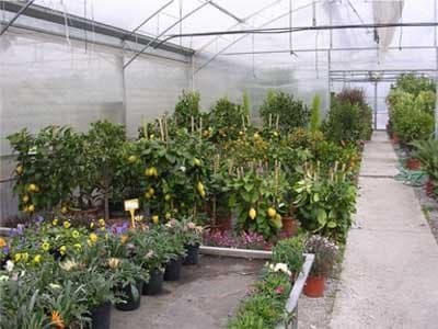 Garden Frediani - Immagine 2