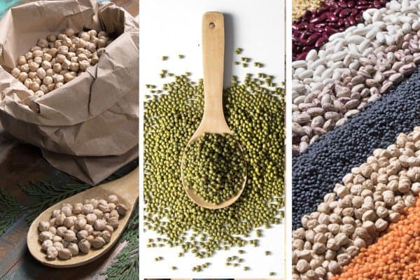 Ge.Ca Legumi Spa - Immagine 2