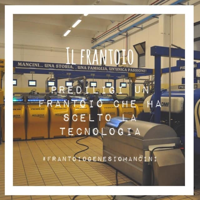 Genesio Mancini - Il Frantoio - Immagine 1