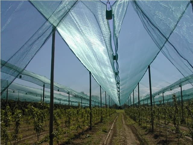 Geocentro - Immagine 1