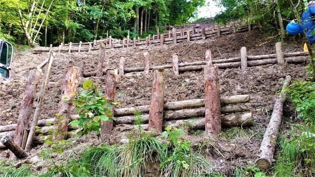 Giacomini Paolo - Immagine 1