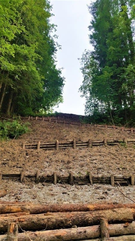 Giacomini Paolo - Immagine 2