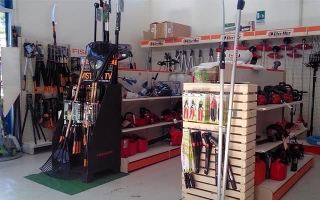 Giardinaggio Pontecorvi - Immagine 2