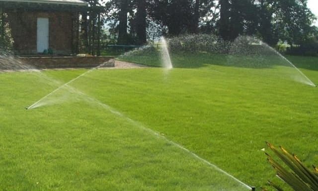 Giardinaggio Sommadossi Giorgio - Immagine 2